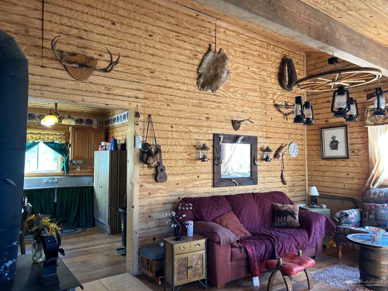 0 Piute Pnes Road Caliente, CA 93518 - Photo 10 of 59 Gallery Image 10