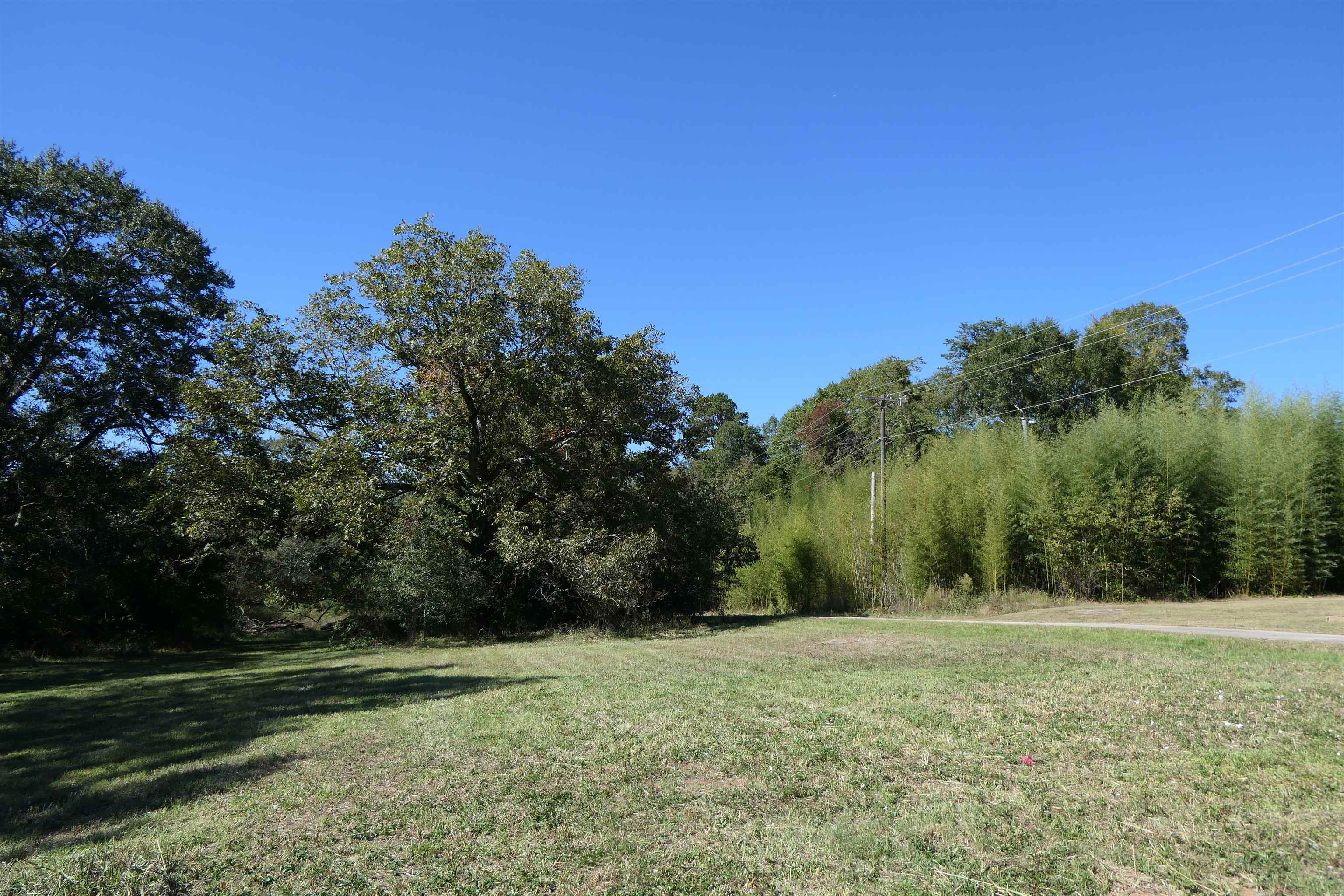 150 Elm Street Pacolet, SC 29372 - Photo 4 of 15