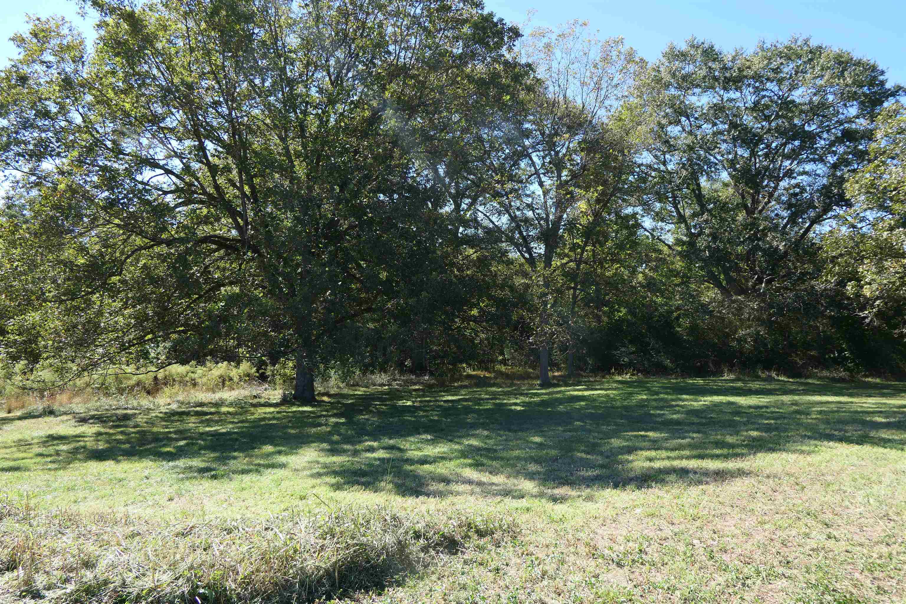 150 Elm Street Pacolet, SC 29372 - Photo 5 of 15