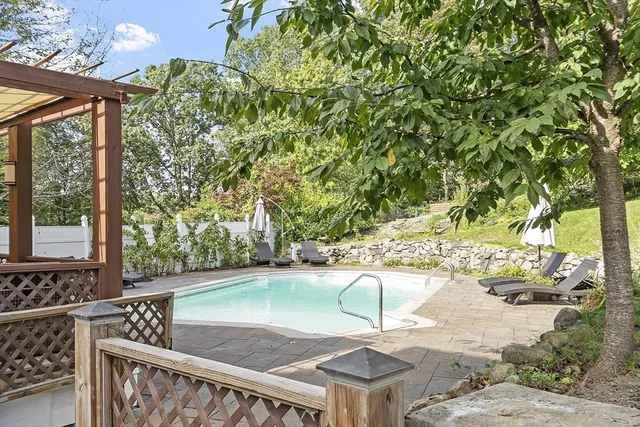 a view of a swimming pool with a patio and plants