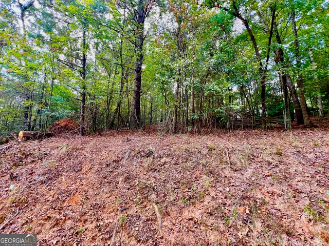 a view of outdoor space with trees