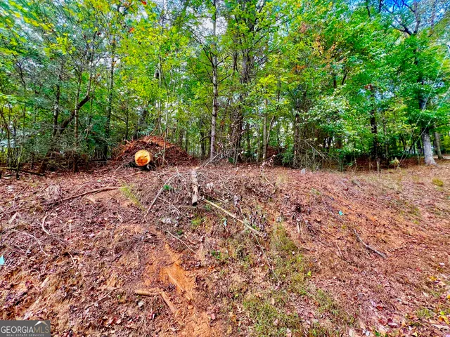 a view of outdoor space and yard