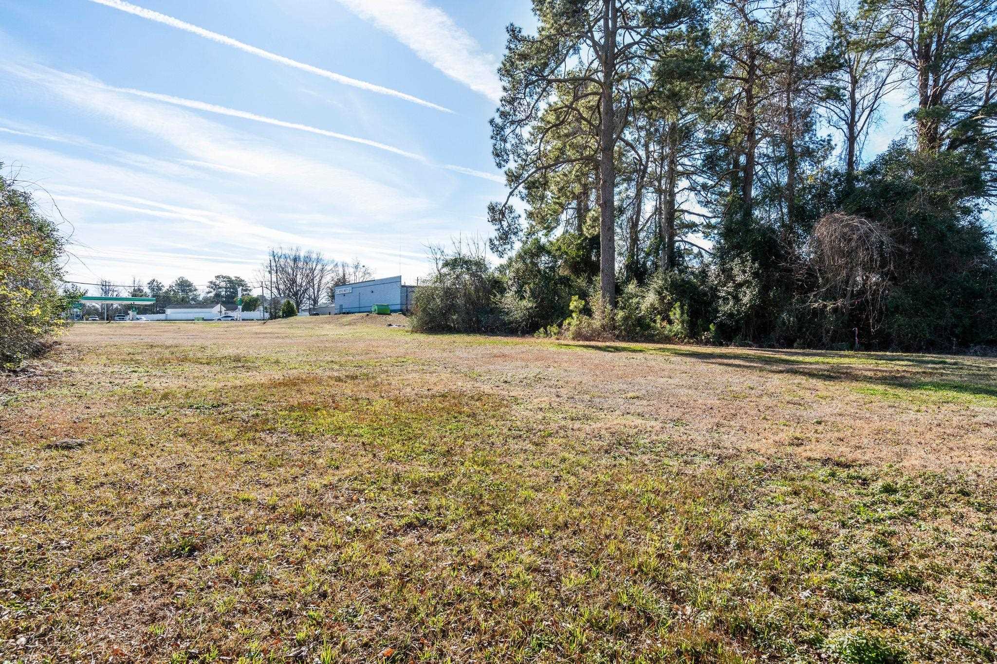 Tbd South Madison Street Westminster, SC 29693 - Photo 1 of 27 View of green lawn