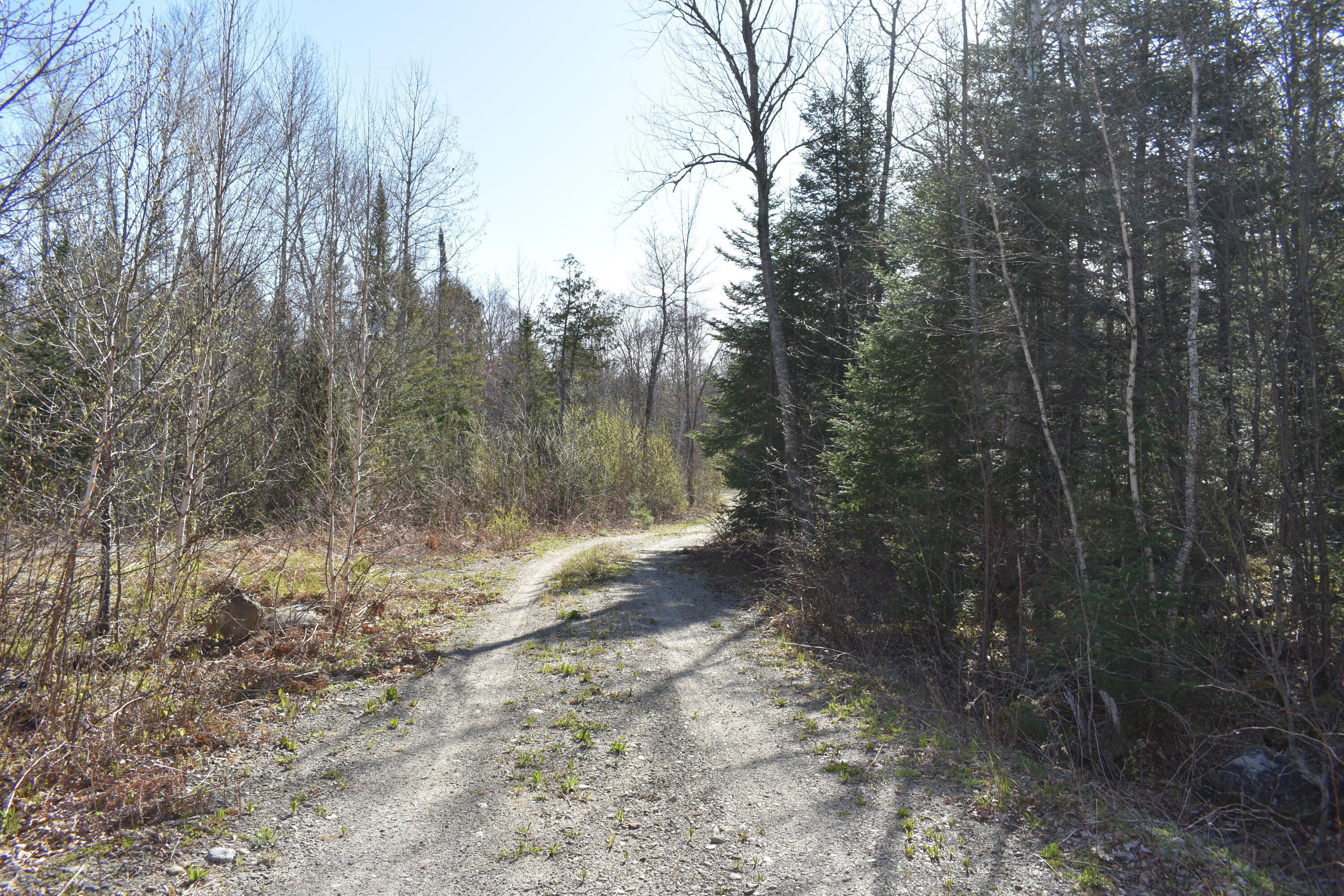 15 Loop Road Lincoln, ME 04457 - Photo 34 of 51 DSC_0120