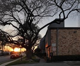 6202 Skyline Drive, Unit 44 Houston, TX 77057 - Photo 29 of 29 a view of tree in front of a house