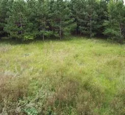 $89,999 | 54 Co Highway 54, New York Mills, MN 56567