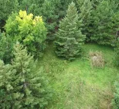 $89,999 | 54 Co Highway 54, New York Mills, MN 56567