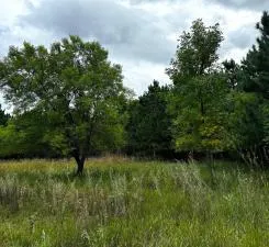 $89,999 | 54 Co Highway 54, New York Mills, MN 56567