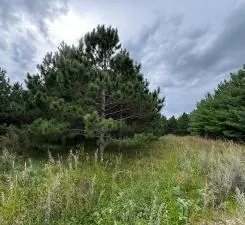 $89,999 | 54 Co Highway 54, New York Mills, MN 56567