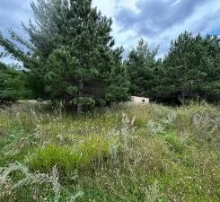 $89,999 | 54 Co Highway 54, New York Mills, MN 56567