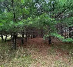 $89,999 | 54 Co Highway 54, New York Mills, MN 56567