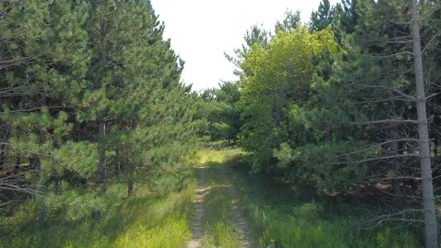 $89,999 | 54 Co Highway 54, New York Mills, MN 56567