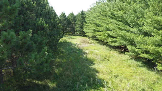 $89,999 | 54 Co Highway 54, New York Mills, MN 56567