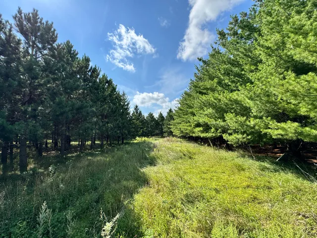 $89,999 | 54 Co Highway 54, New York Mills, MN 56567