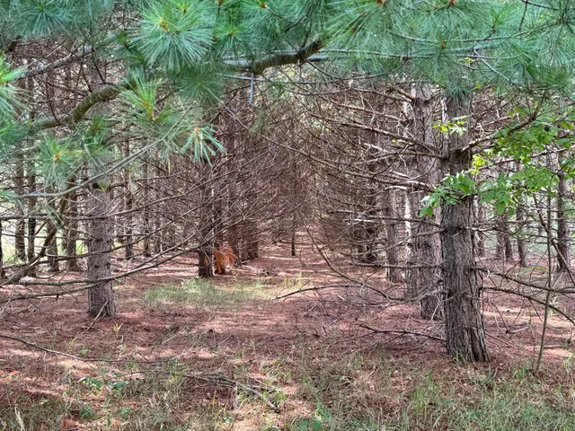 $89,999 | 54 Co Highway 54, New York Mills, MN 56567