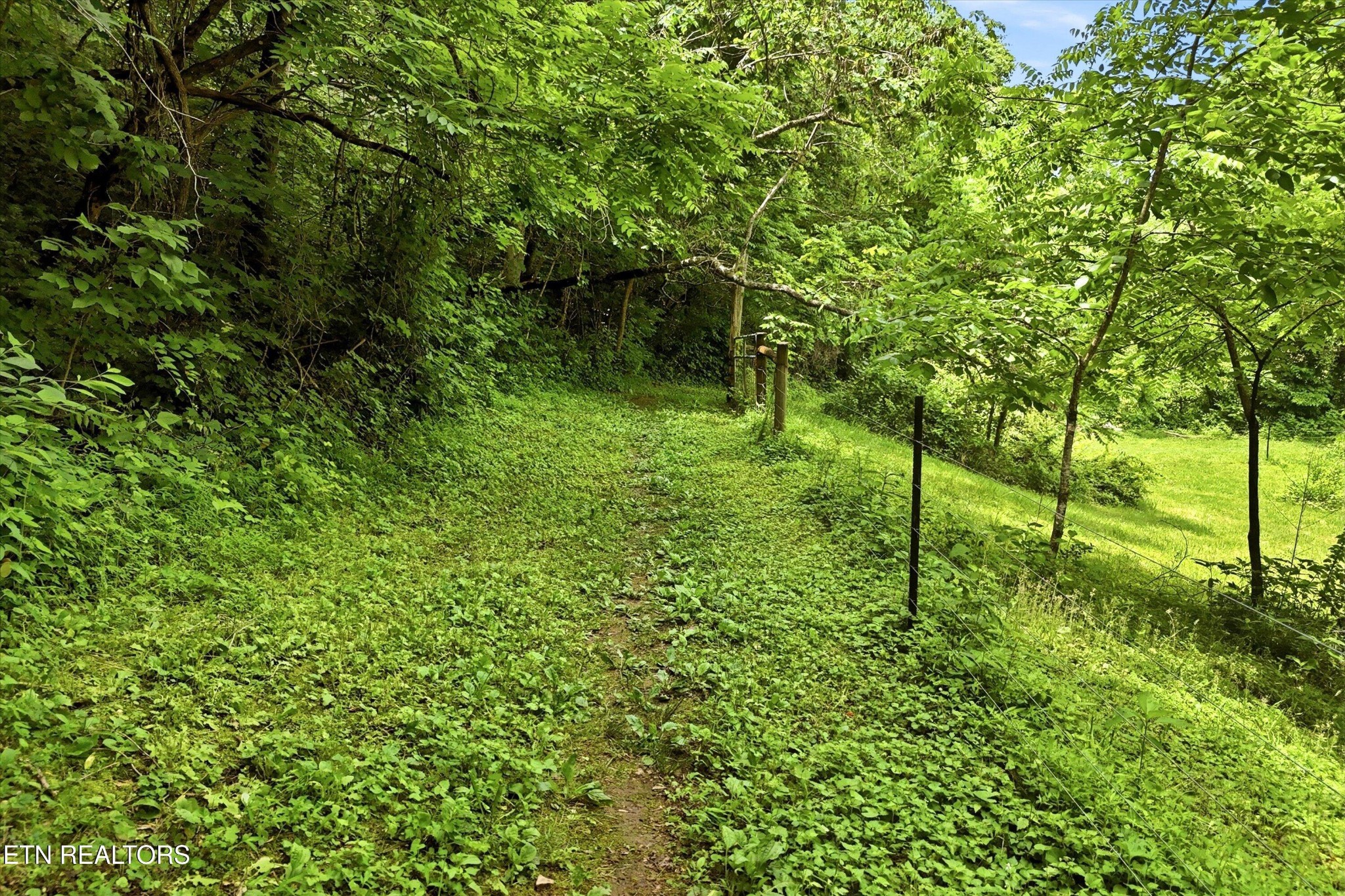 9613 Norris Freeway Heiskell, TN 37754 - Photo 49 of 60