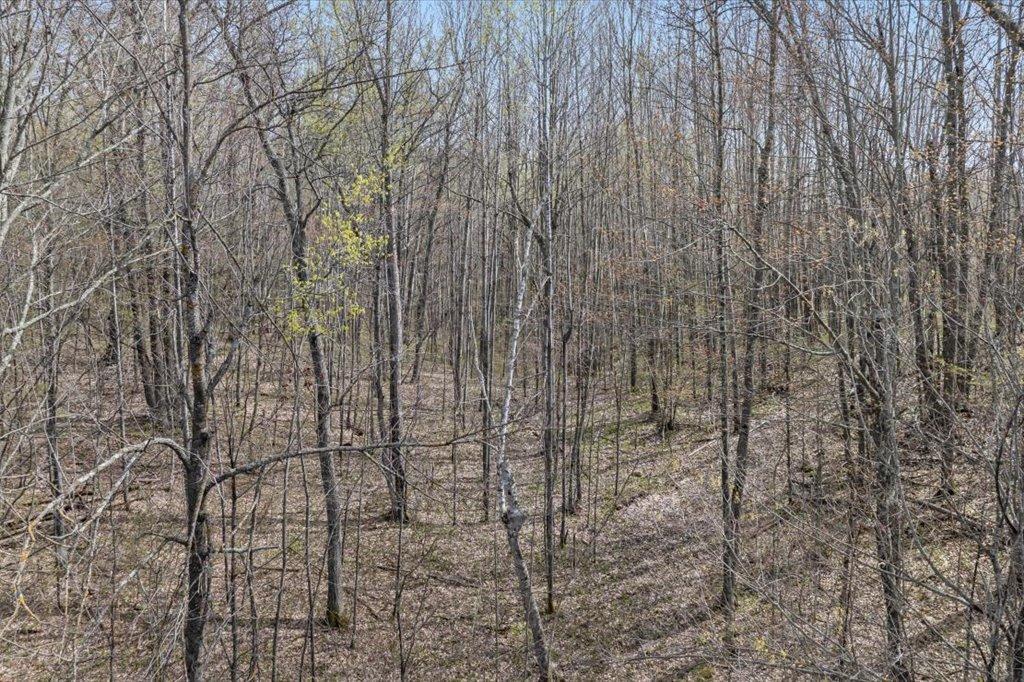 9382 County Road 8 Brainerd, MN 56401 - Photo 62 of 108