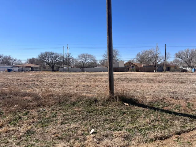 a view of a field with an tree