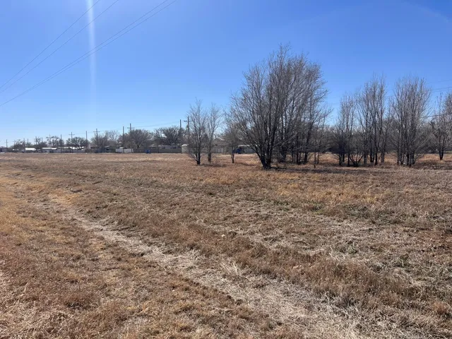 a view of dirt field and trees