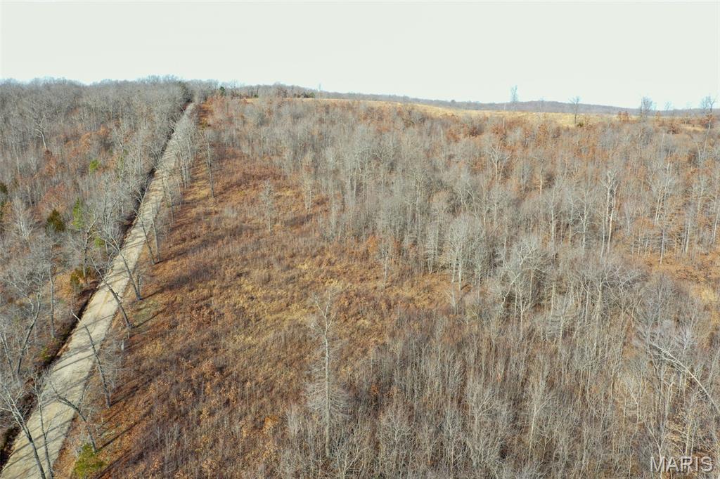 10331 Hopkins Road Potosi, MO 63664 - Photo 3 of 76