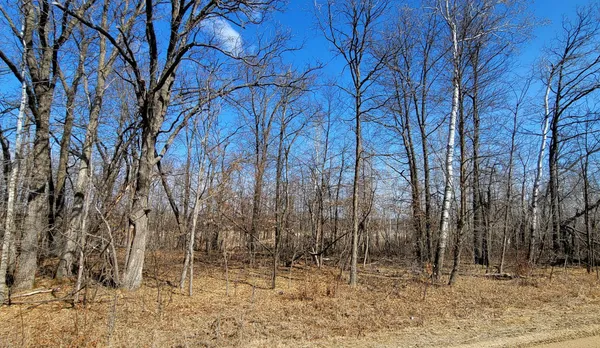 $125,000 | 514-xx 514-xx Leaf River Road, Ottertail, MN 56571