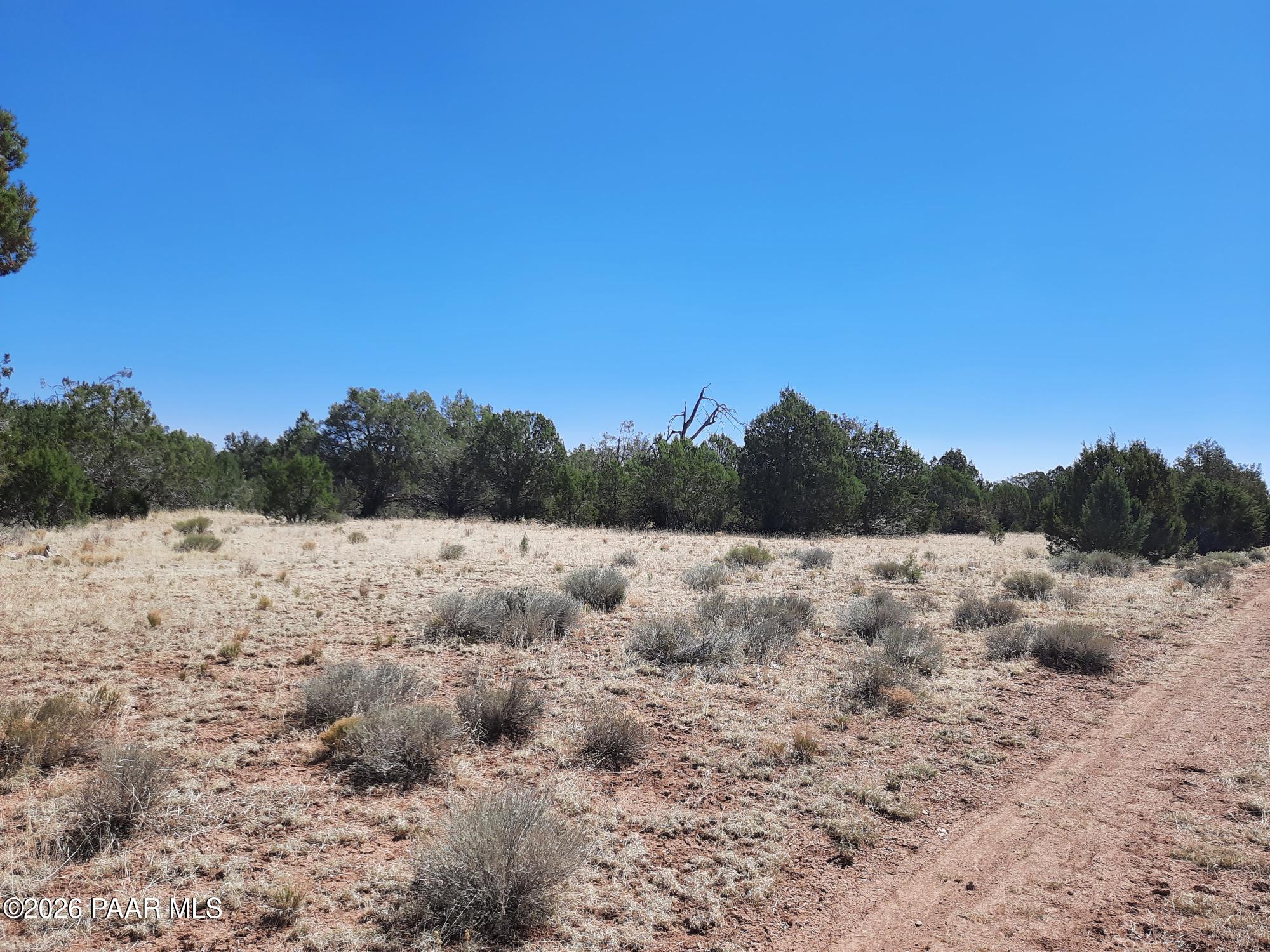 3 J Off Duffy Road Seligman, AZ 86337 - Photo 6 of 12 20220612_100750