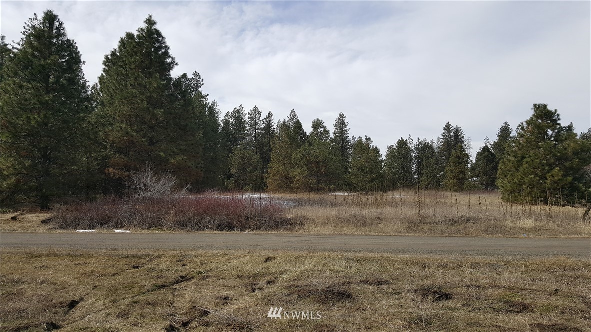 0 South Hatch Road Spokane, WA 99224 - Photo 1 of 22