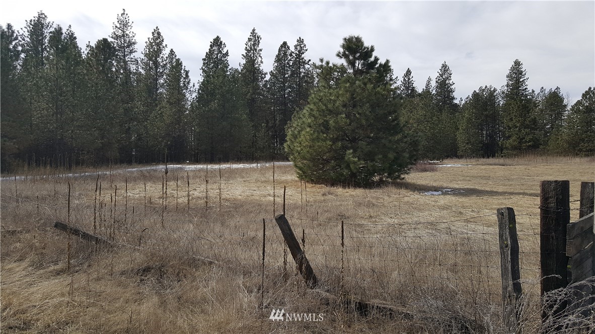 0 South Hatch Road Spokane, WA 99224 - Photo 2 of 22