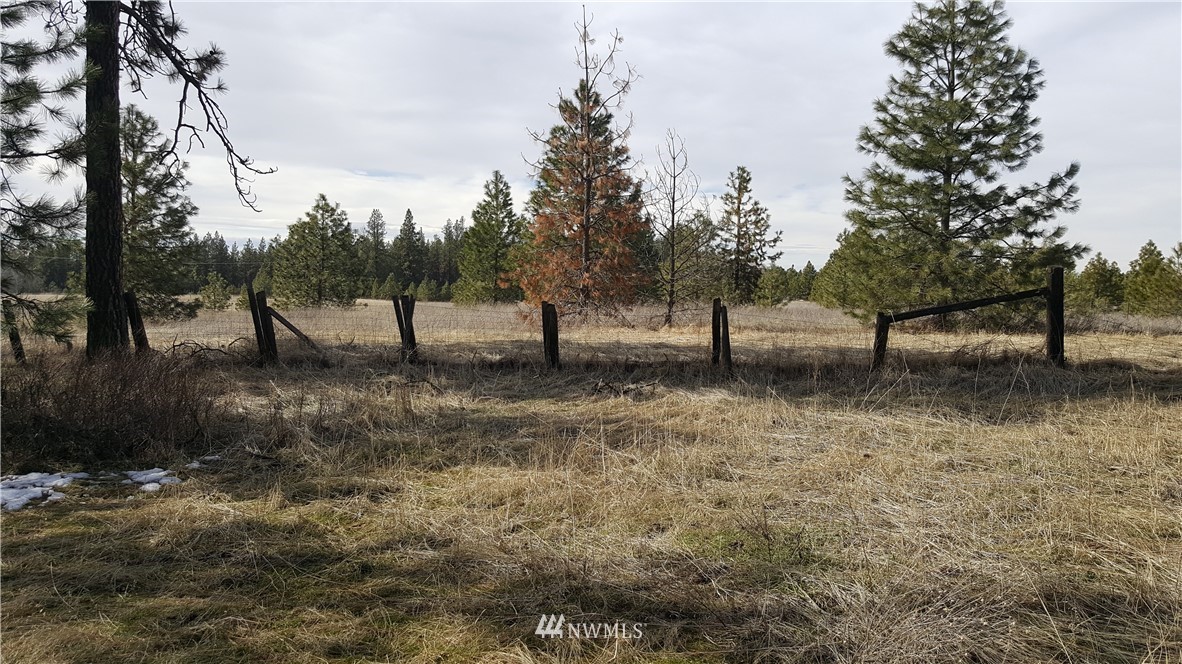 0 South Hatch Road Spokane, WA 99224 - Photo 11 of 22