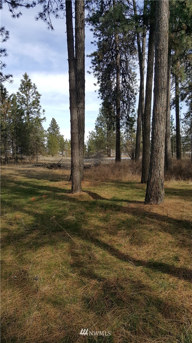 0 South Hatch Road Spokane, WA 99224 - Photo 12 of 22