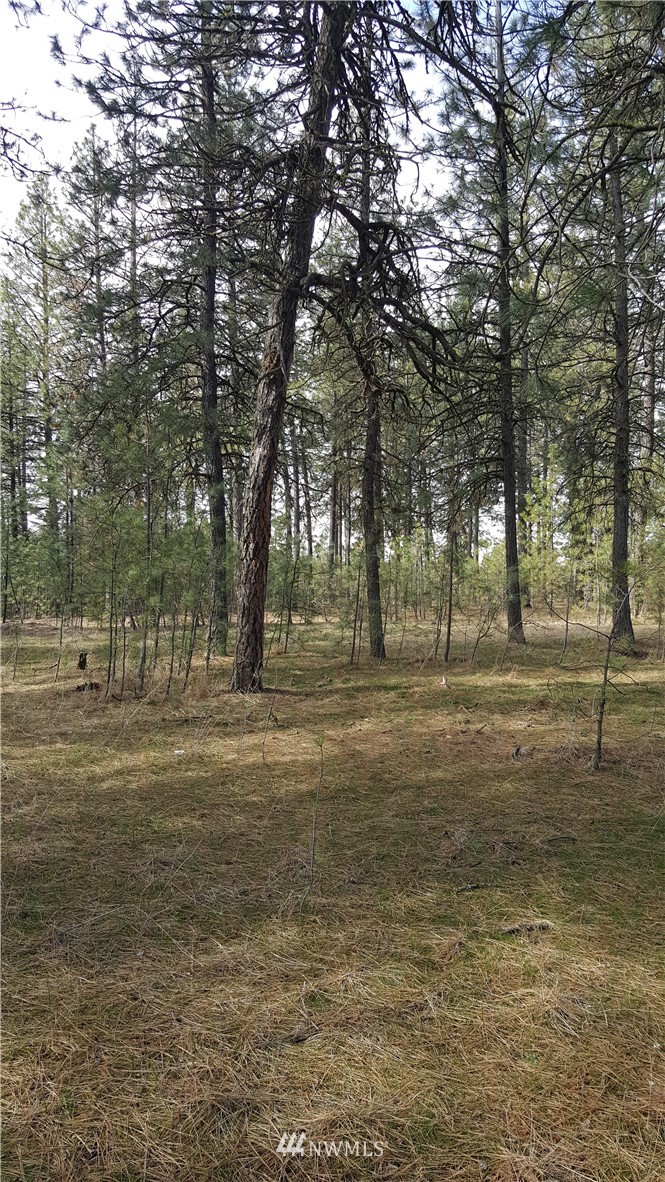 0 South Hatch Road Spokane, WA 99224 - Photo 13 of 22