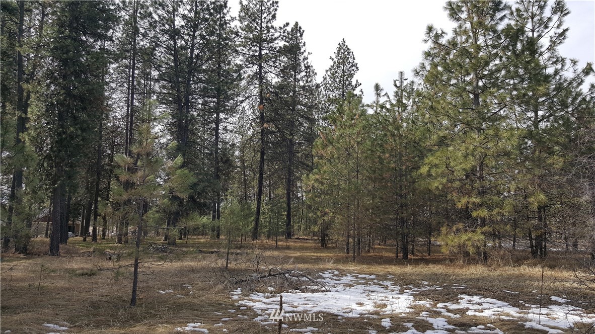 0 South Hatch Road Spokane, WA 99224 - Photo 15 of 22