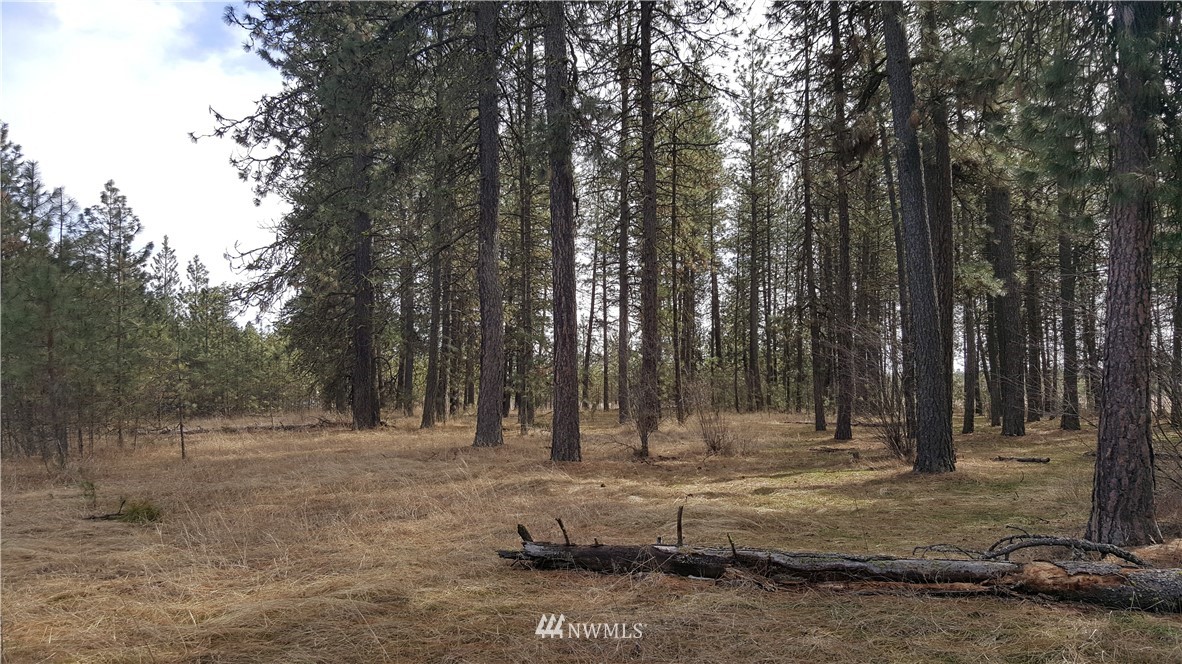 0 South Hatch Road Spokane, WA 99224 - Photo 16 of 22