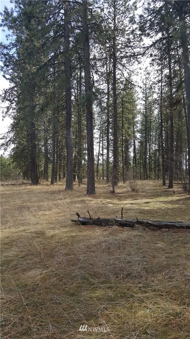 0 South Hatch Road Spokane, WA 99224 - Photo 17 of 22