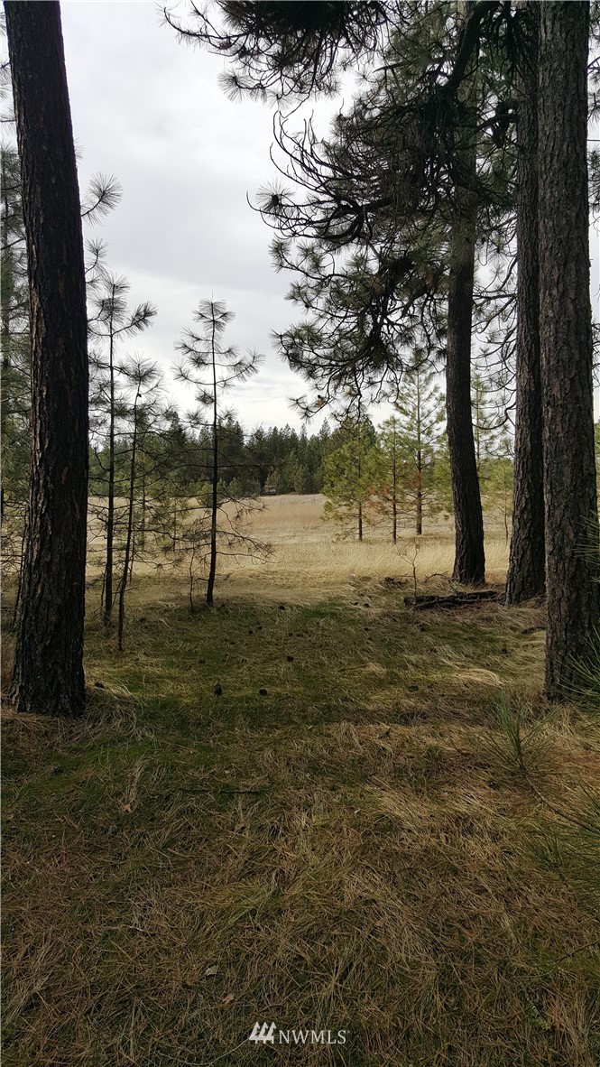 0 South Hatch Road Spokane, WA 99224 - Photo 19 of 22