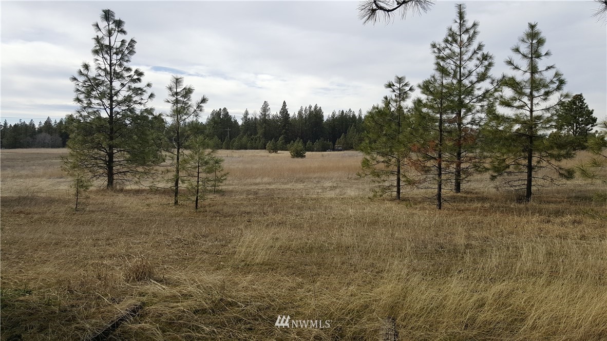 0 South Hatch Road Spokane, WA 99224 - Photo 20 of 22