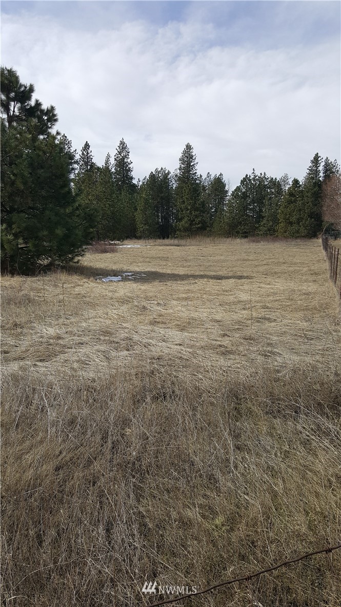 0 South Hatch Road Spokane, WA 99224 - Photo 3 of 22