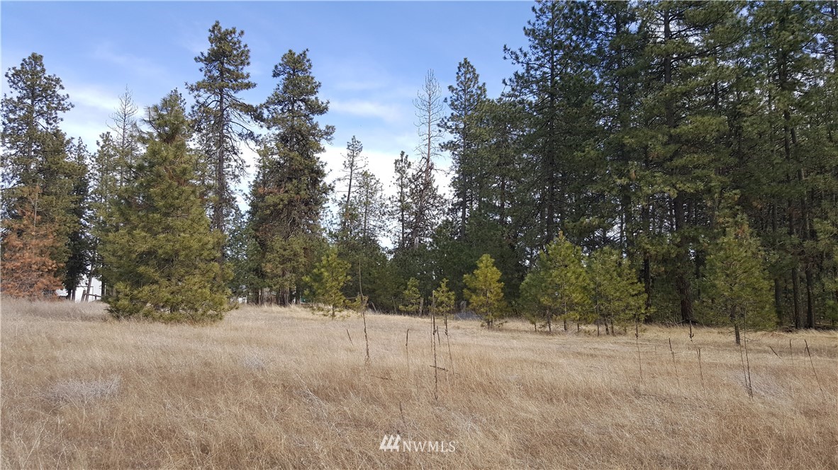 0 South Hatch Road Spokane, WA 99224 - Photo 21 of 22