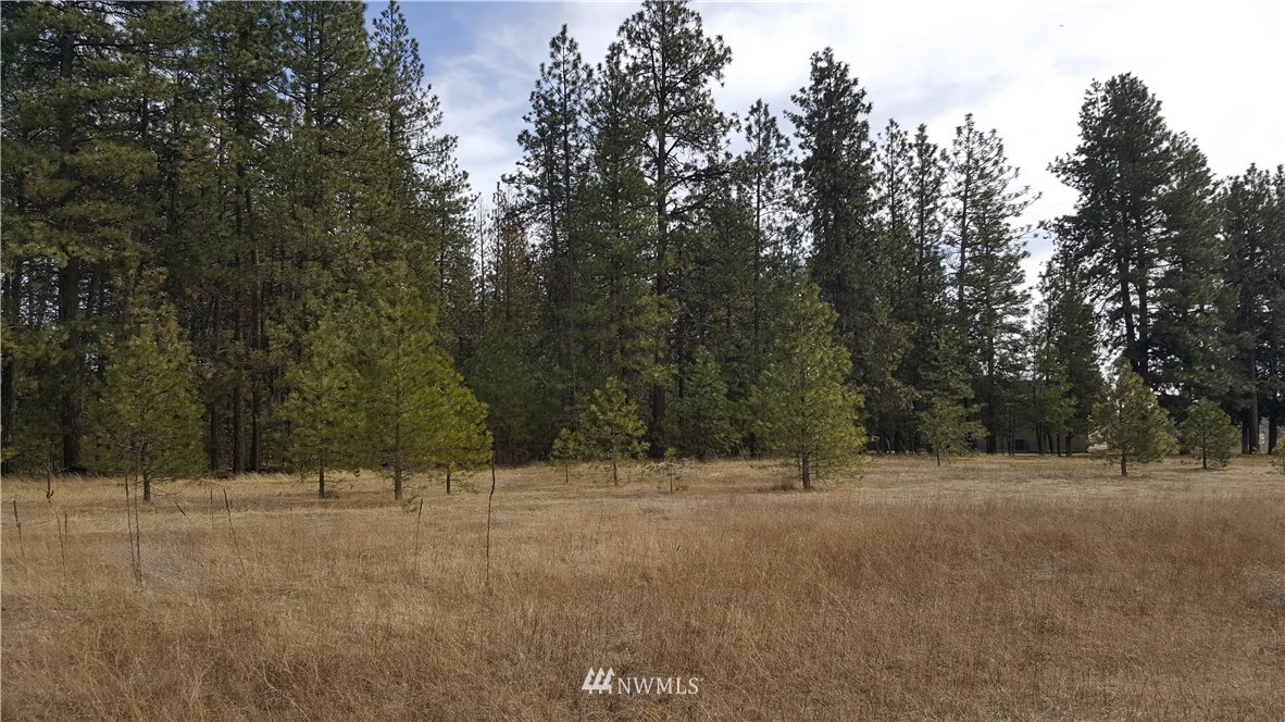 0 South Hatch Road Spokane, WA 99224 - Photo 22 of 22