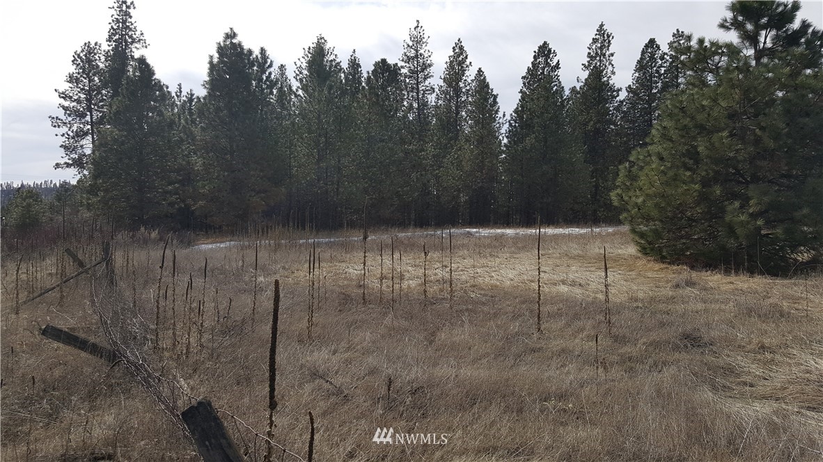 0 South Hatch Road Spokane, WA 99224 - Photo 4 of 22