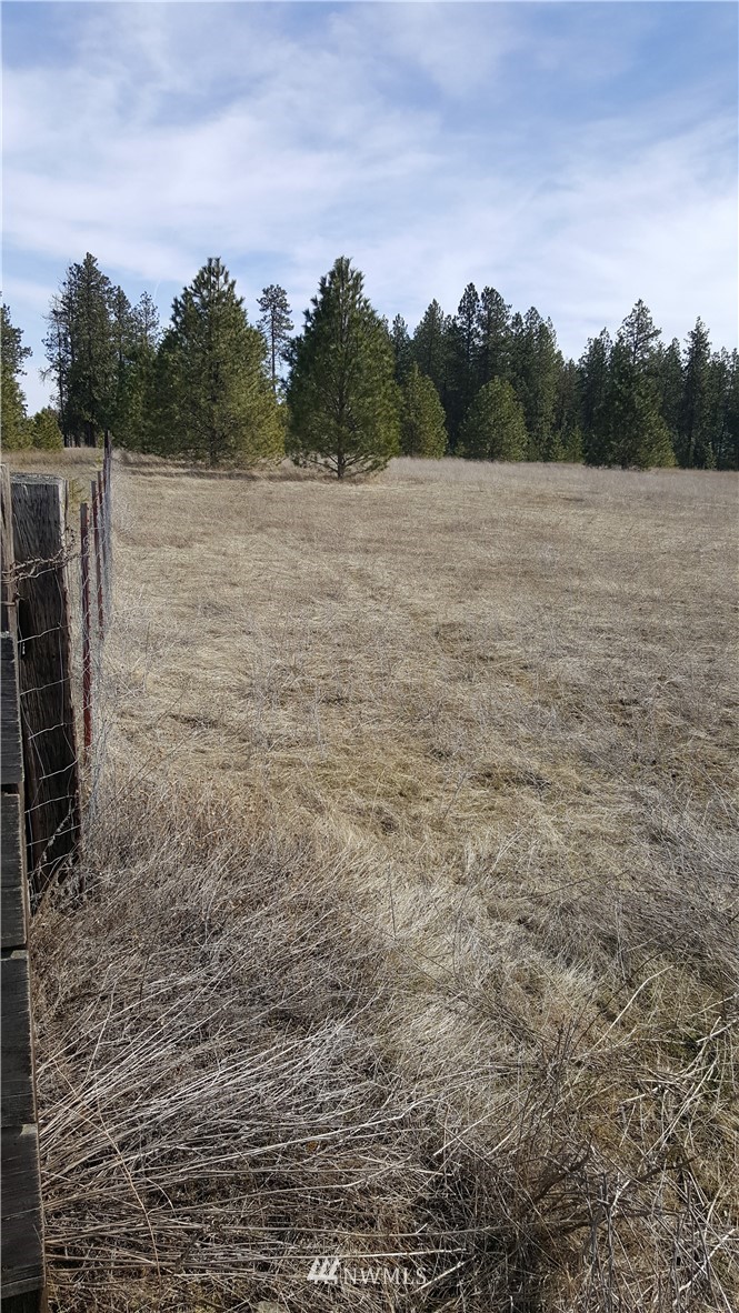 0 South Hatch Road Spokane, WA 99224 - Photo 5 of 22