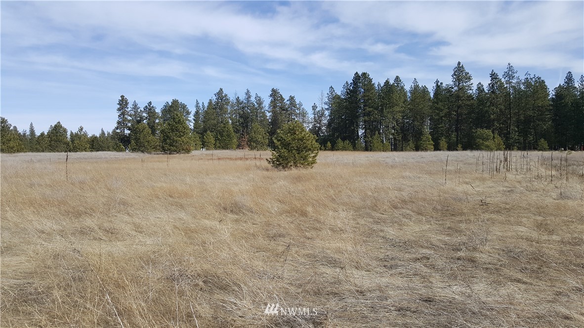 0 South Hatch Road Spokane, WA 99224 - Photo 7 of 22