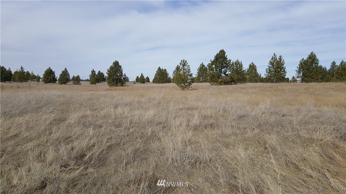 0 South Hatch Road Spokane, WA 99224 - Photo 8 of 22