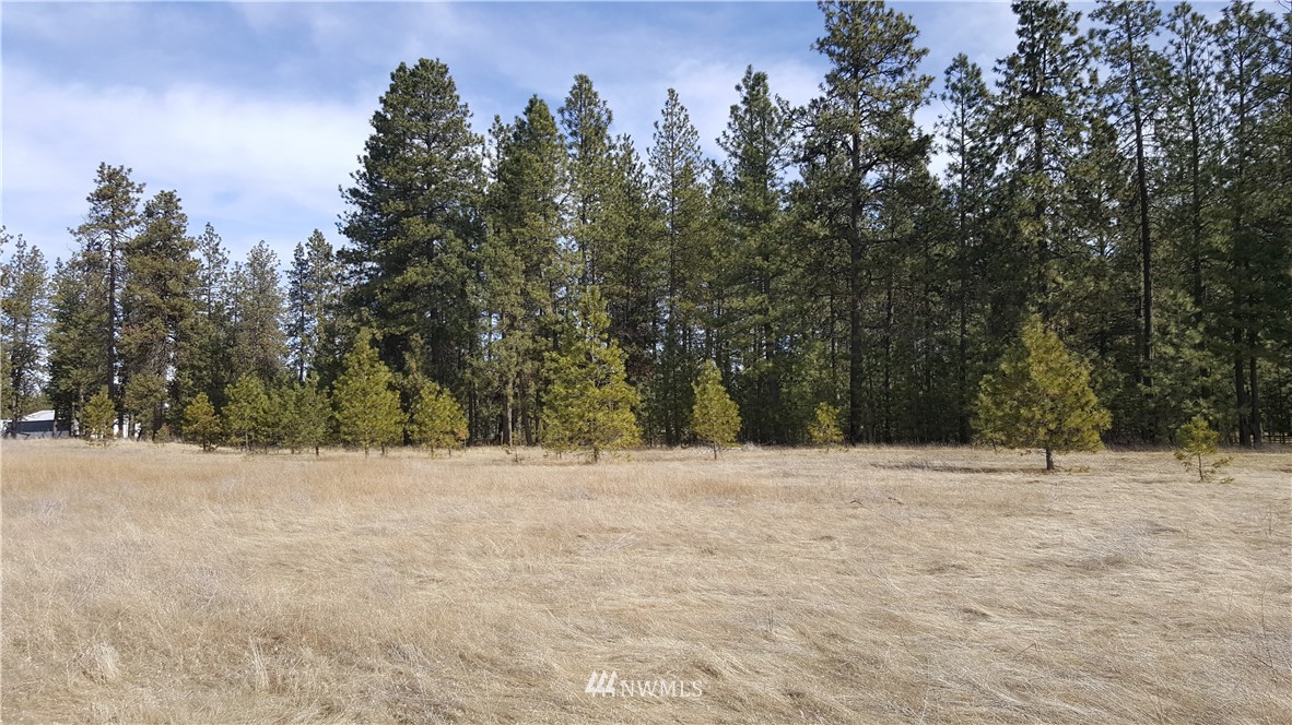0 South Hatch Road Spokane, WA 99224 - Photo 9 of 22
