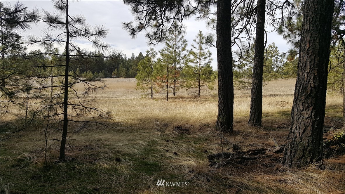 0 South Hatch Road Spokane, WA 99224 - Photo 10 of 22