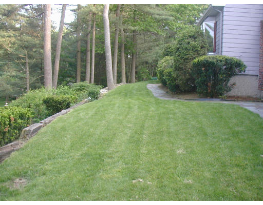 26 Ledgetree Road Medfield, MA 02052 - Photo 8 of 12 Gallery Image 8