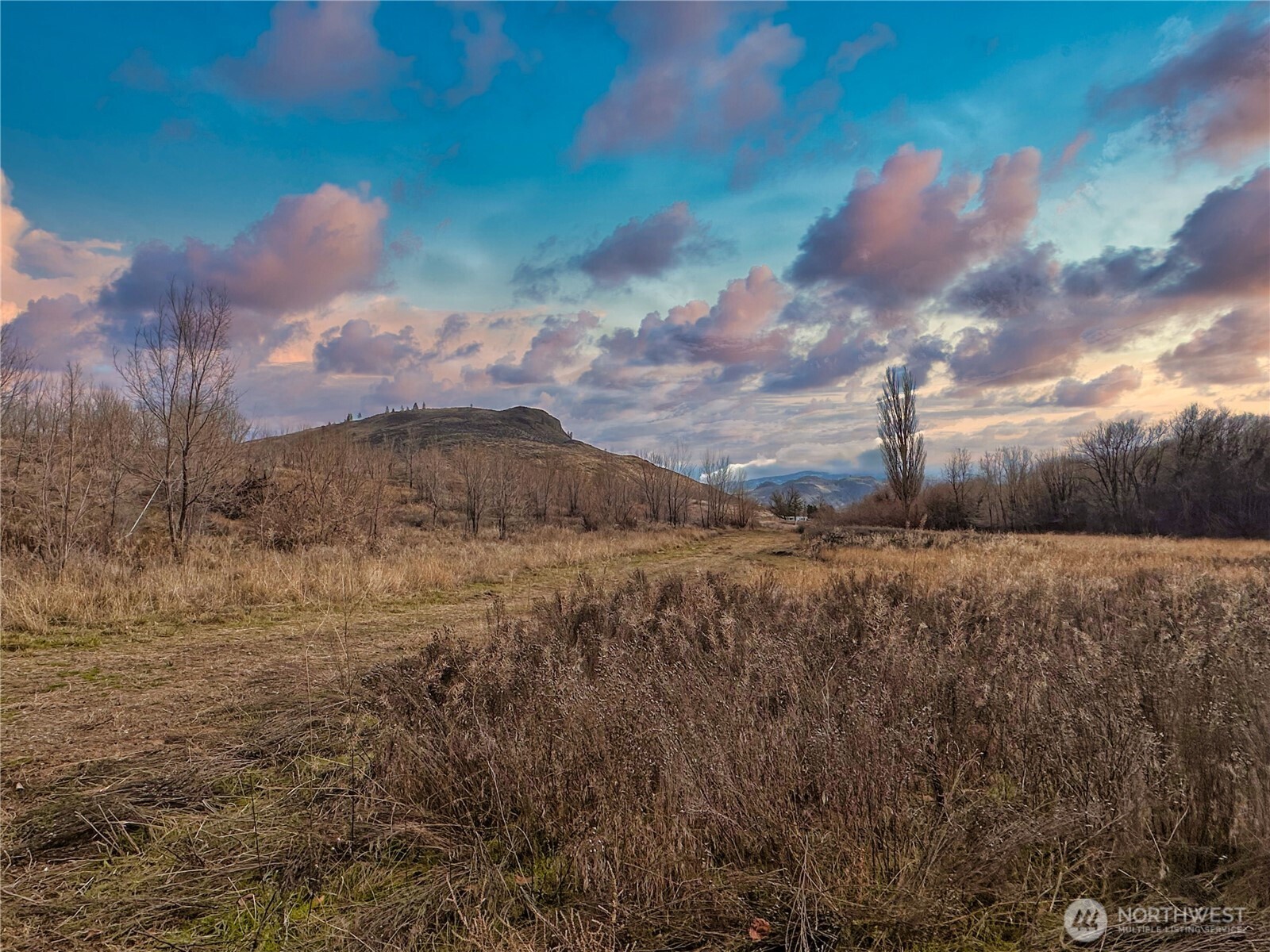 407-tbd Eastlake Road Oroville, WA 98844 - Photo 4 of 12 a view of a yard