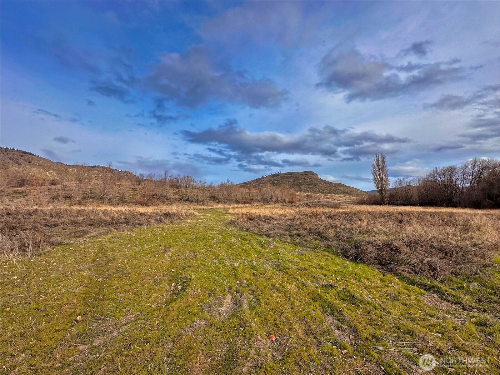 407-tbd Eastlake Road Oroville, WA 98844 - Photo 7 of 12 a view of an ocean