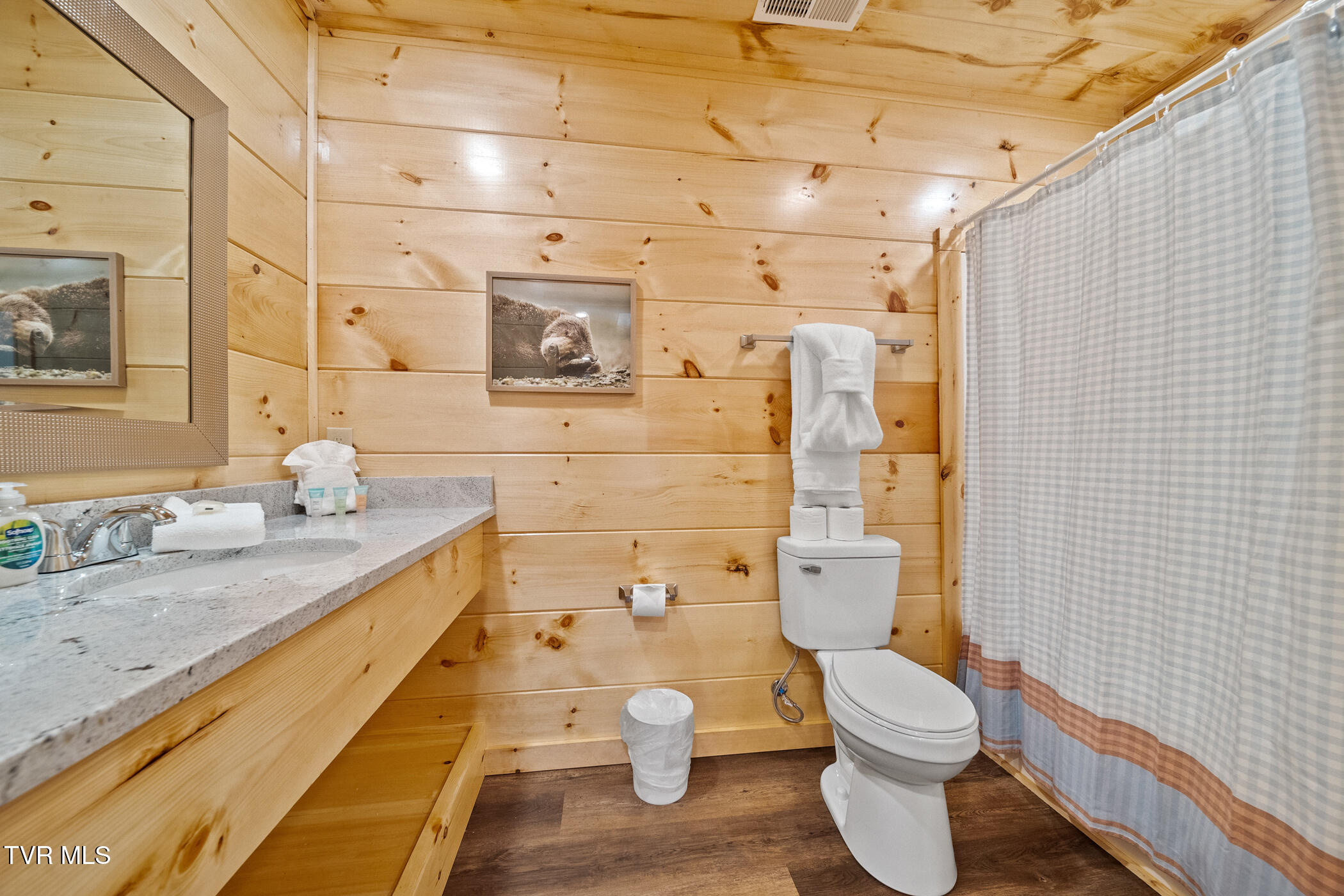 808 String Run Way, Unit LOT B6 Pigeon Forge, TN 37863 - Photo 52 of 64 dsc03312