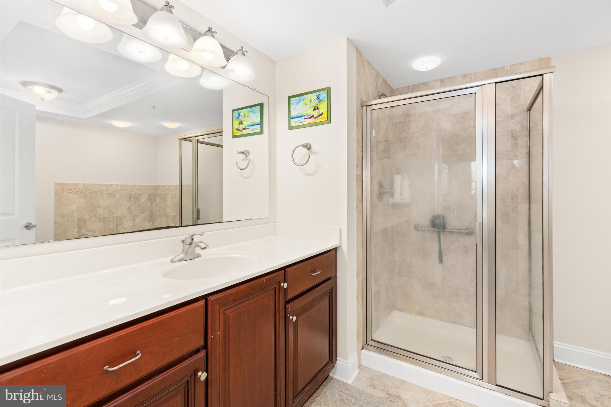 530 Riverside Drive, Unit 202 Salisbury, MD 21801 - Photo 19 of 38 a bathroom with a shower sink and mirror